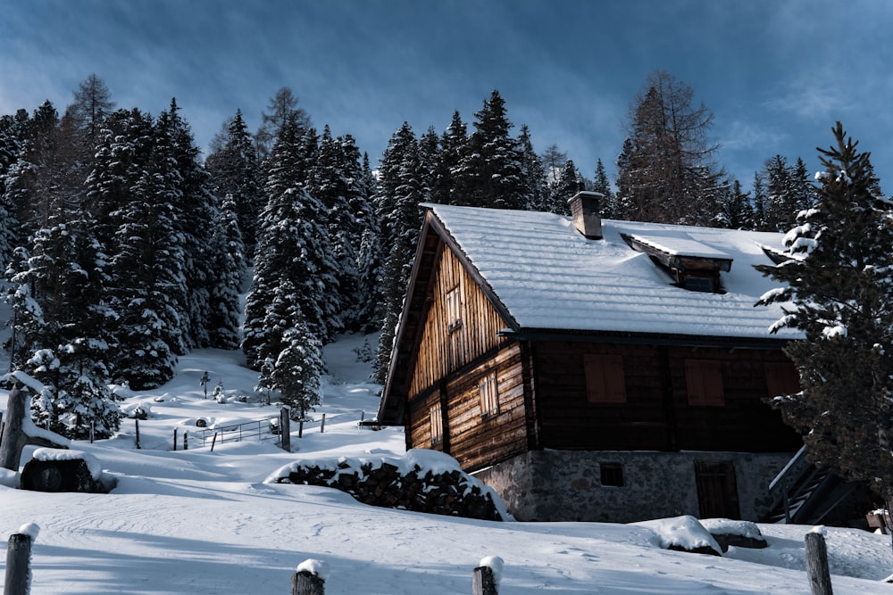 brown wooden house near green pine trees covered with snow during daytime