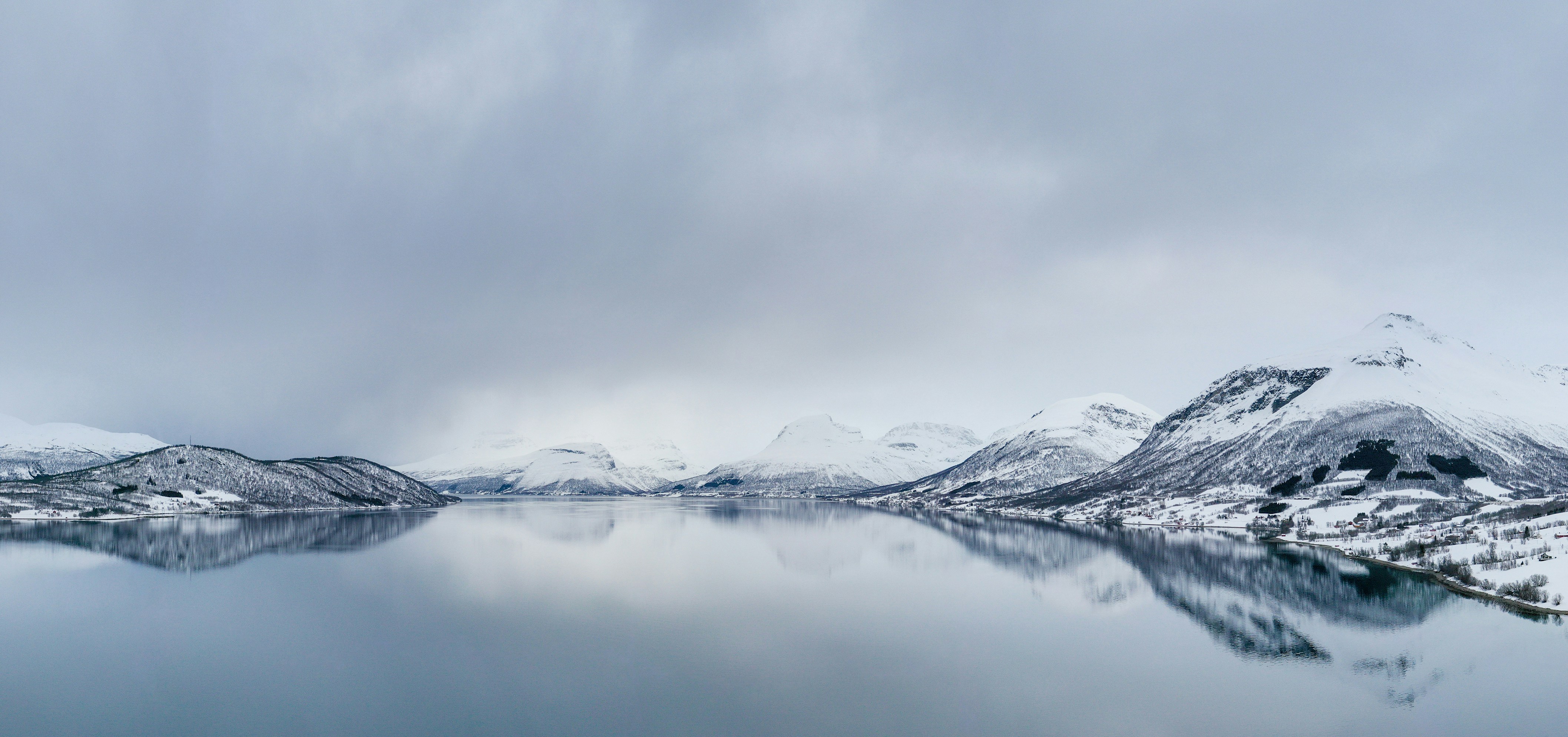 Photo by anton_lammert