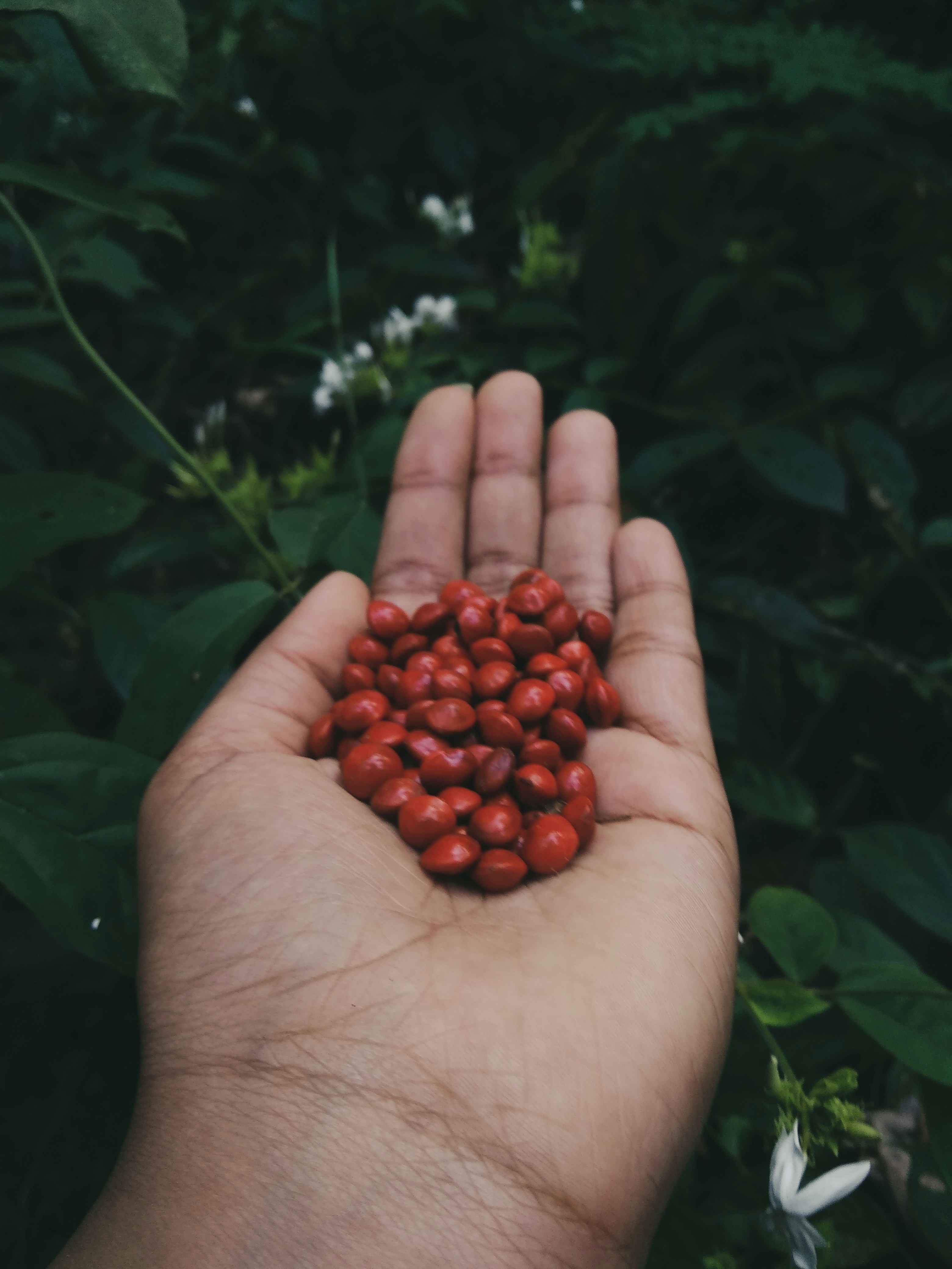 Photo by jifi_george