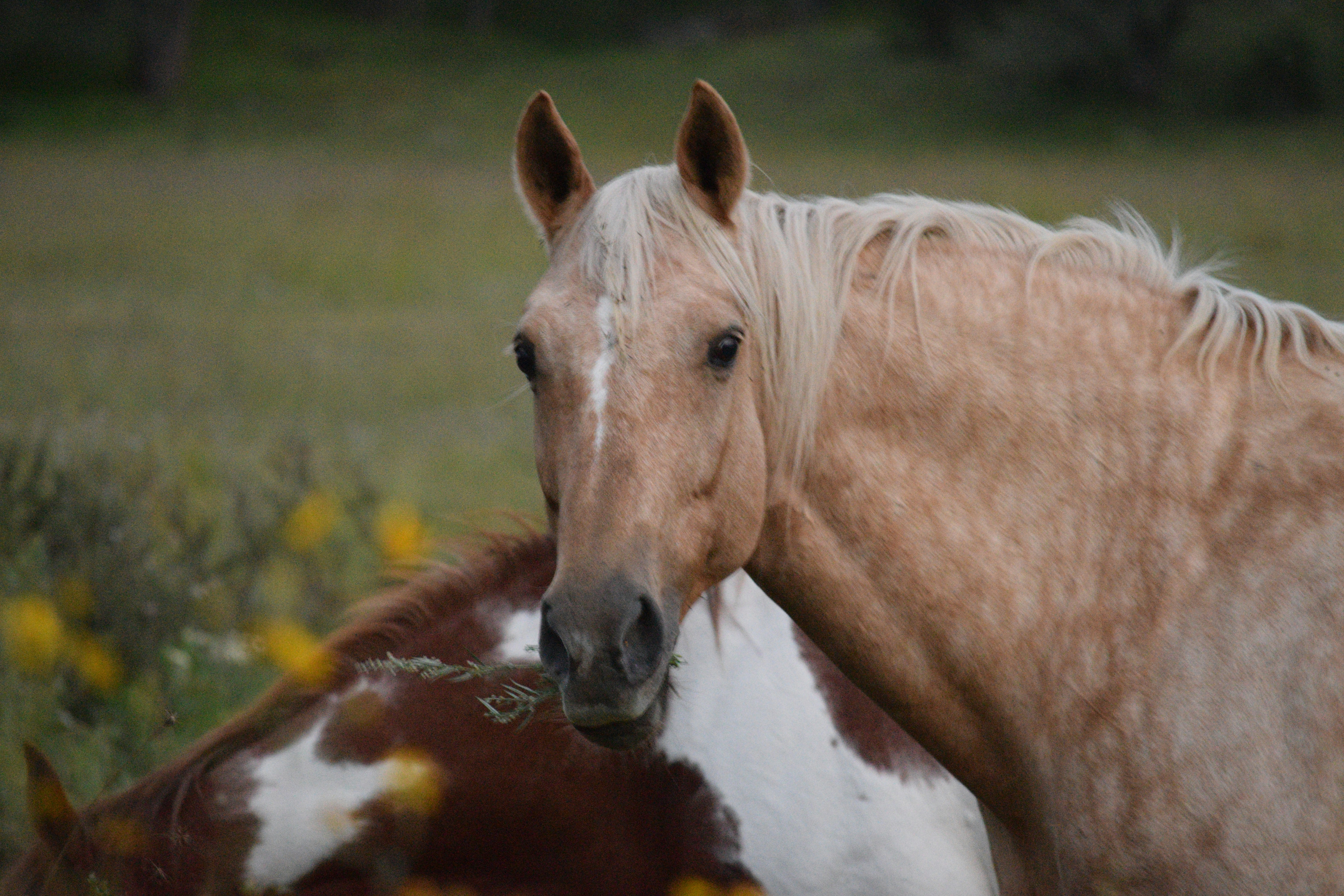 Photo by yaelgonzalez