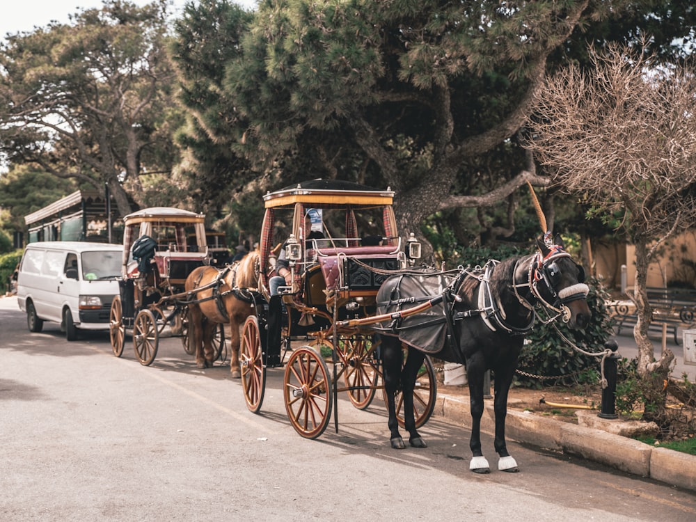 brown horse with carriage on road during daytime