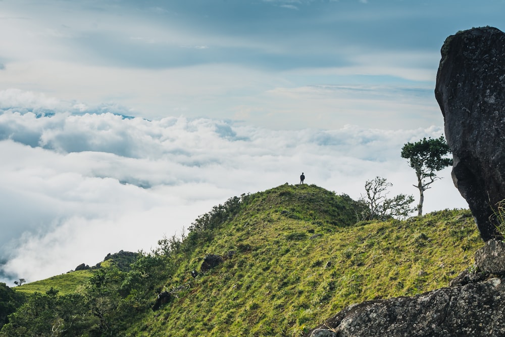 Persona de pie en la colina cubierta de hierba verde bajo nubes blancas y cielo azul durante el día