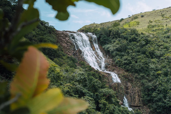 6-Day Boquete Luxury Itinerary: Coffee & Cloud Forests