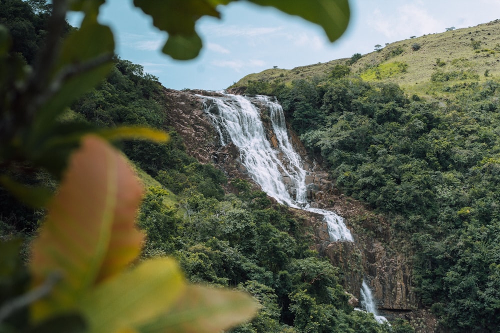 waterfalls in the middle of green trees