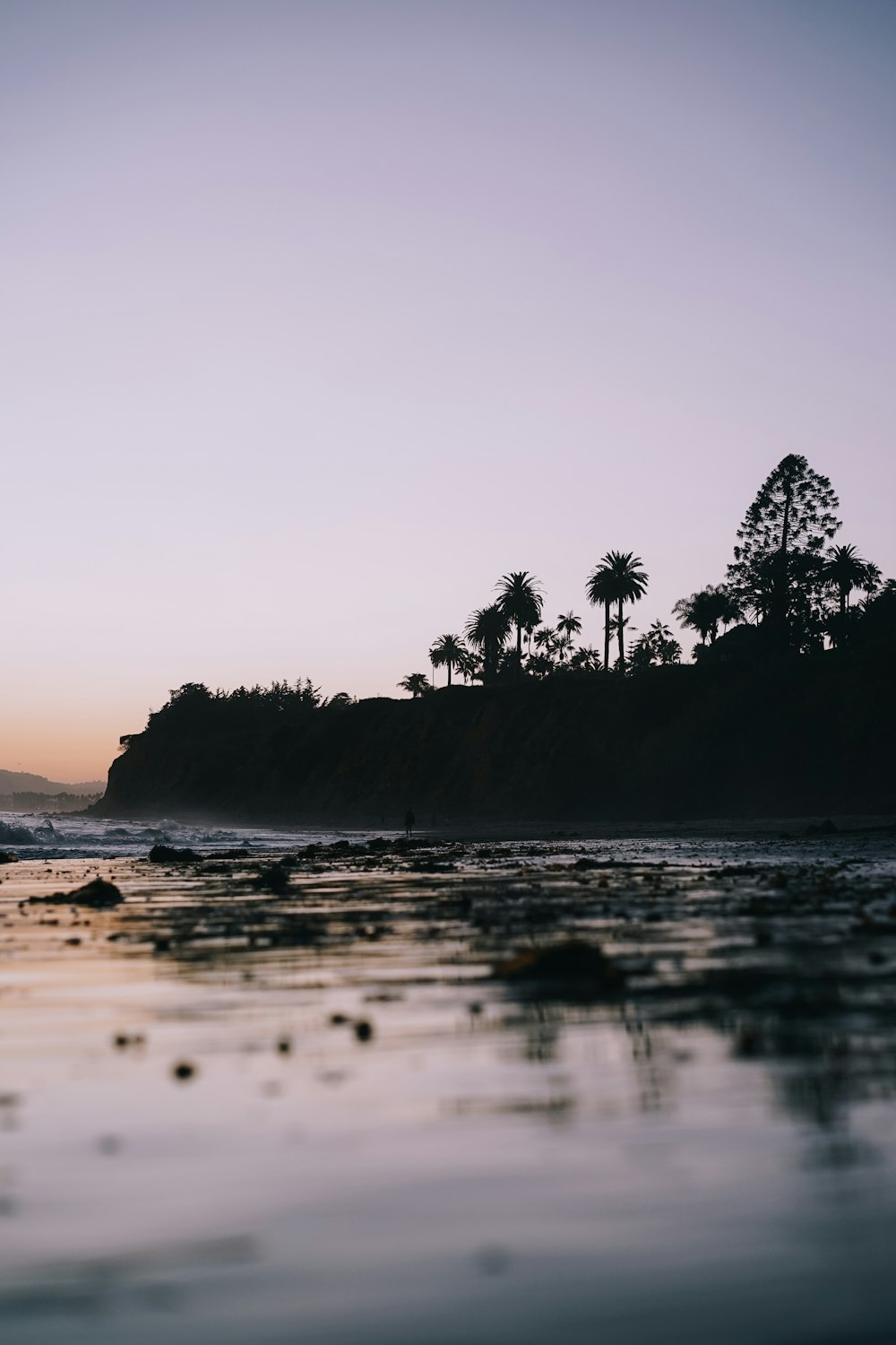 silhouette of trees on rock formation near body of water during daytime