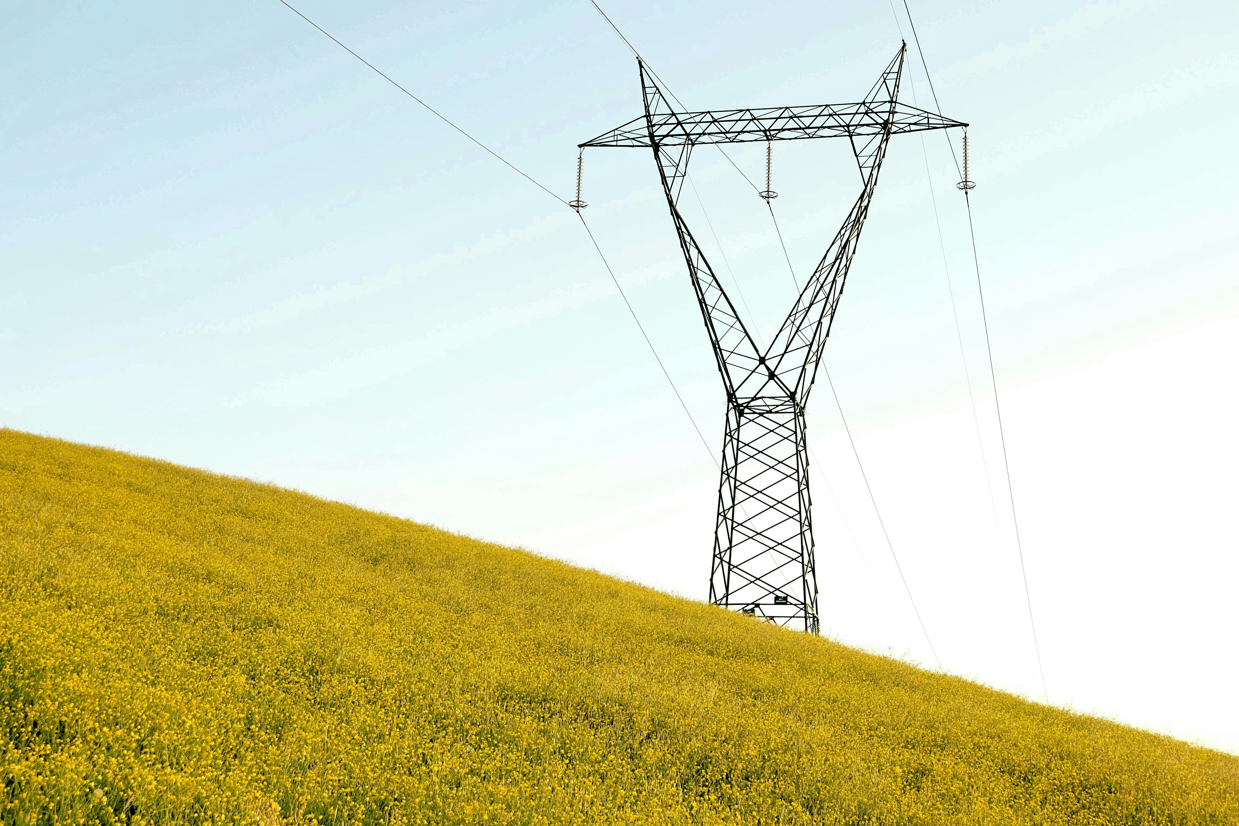 Photo by alessandroventuri