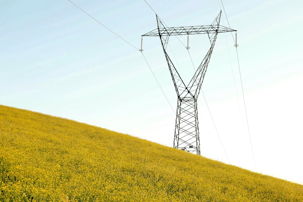 torre elettrica in metallo nero sul campo di erba gialla sotto il cielo bianco durante il giorno