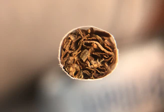 is grabba the same as cigarette tobacco Guide: Uses, Types, and Why It's Popular Among Ent Grabba vs Cigarettes : r/Torontology