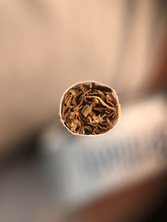 Close-up view of the top of a cigarette, showing tightly packed tobacco leaves. The focus is sharp on the tobacco, with a blurred background, giving a sense of depth.