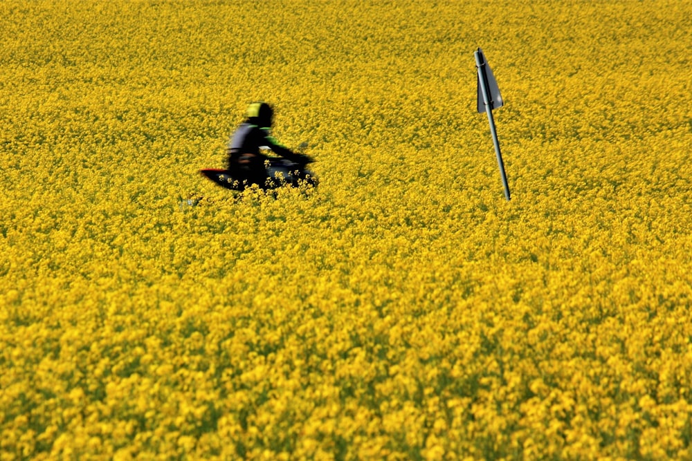 black and white golf club on yellow flower field
