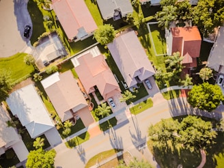 aerial view of green trees and brown concrete building