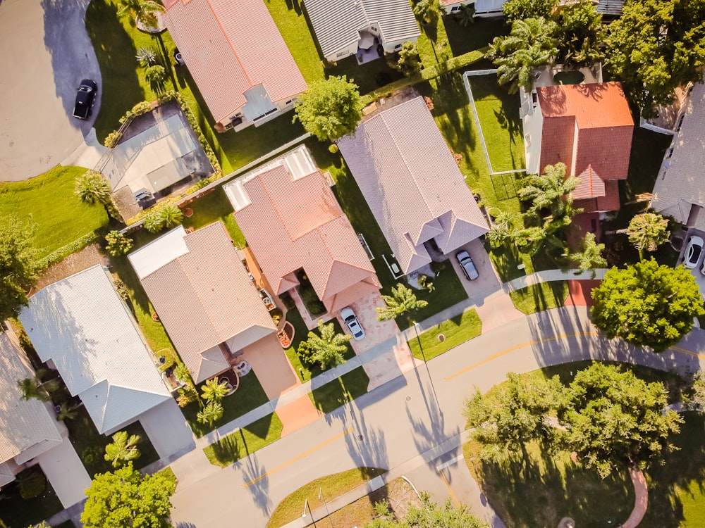 aerial view of green trees and brown concrete building