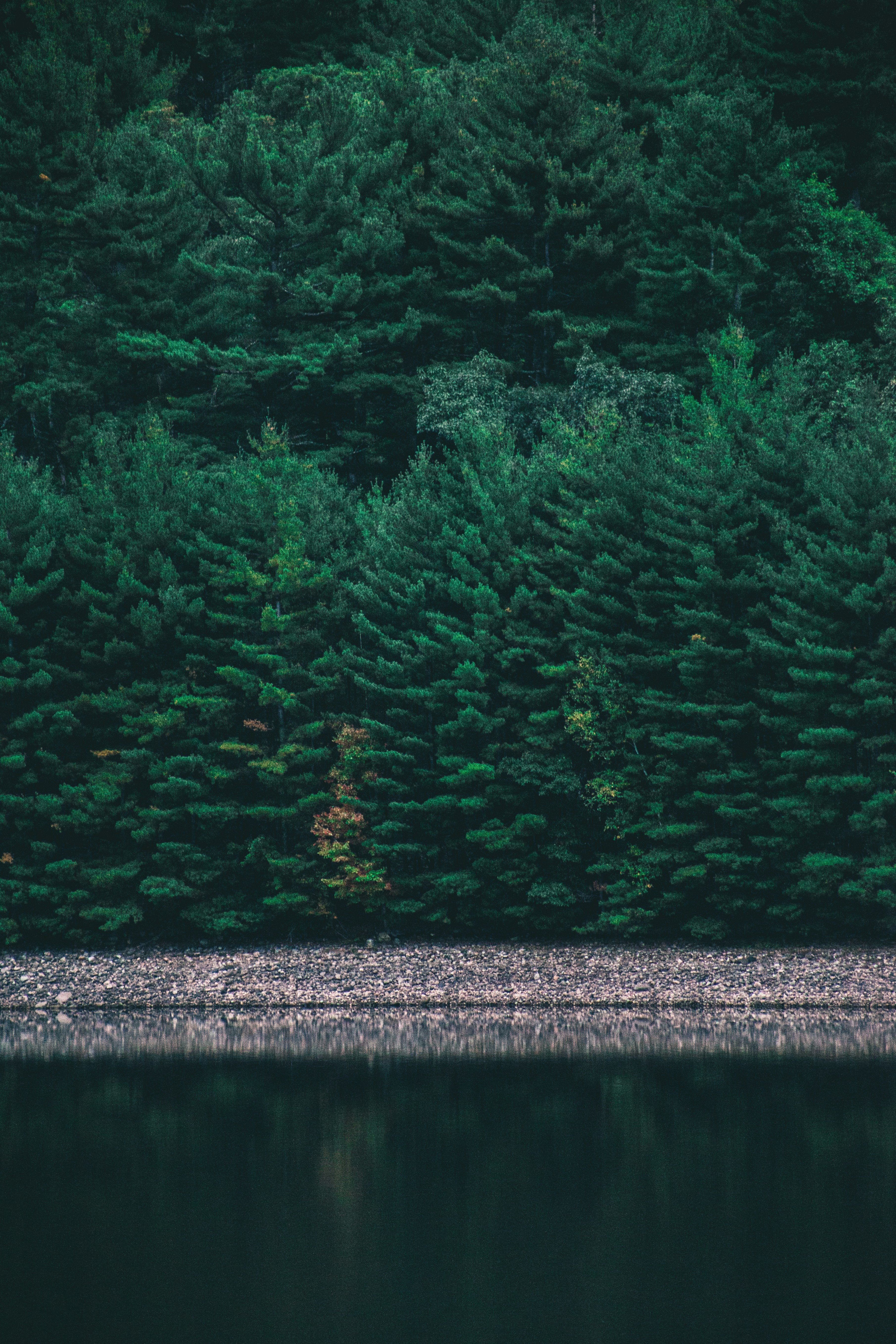 Photo by reallygoodjames