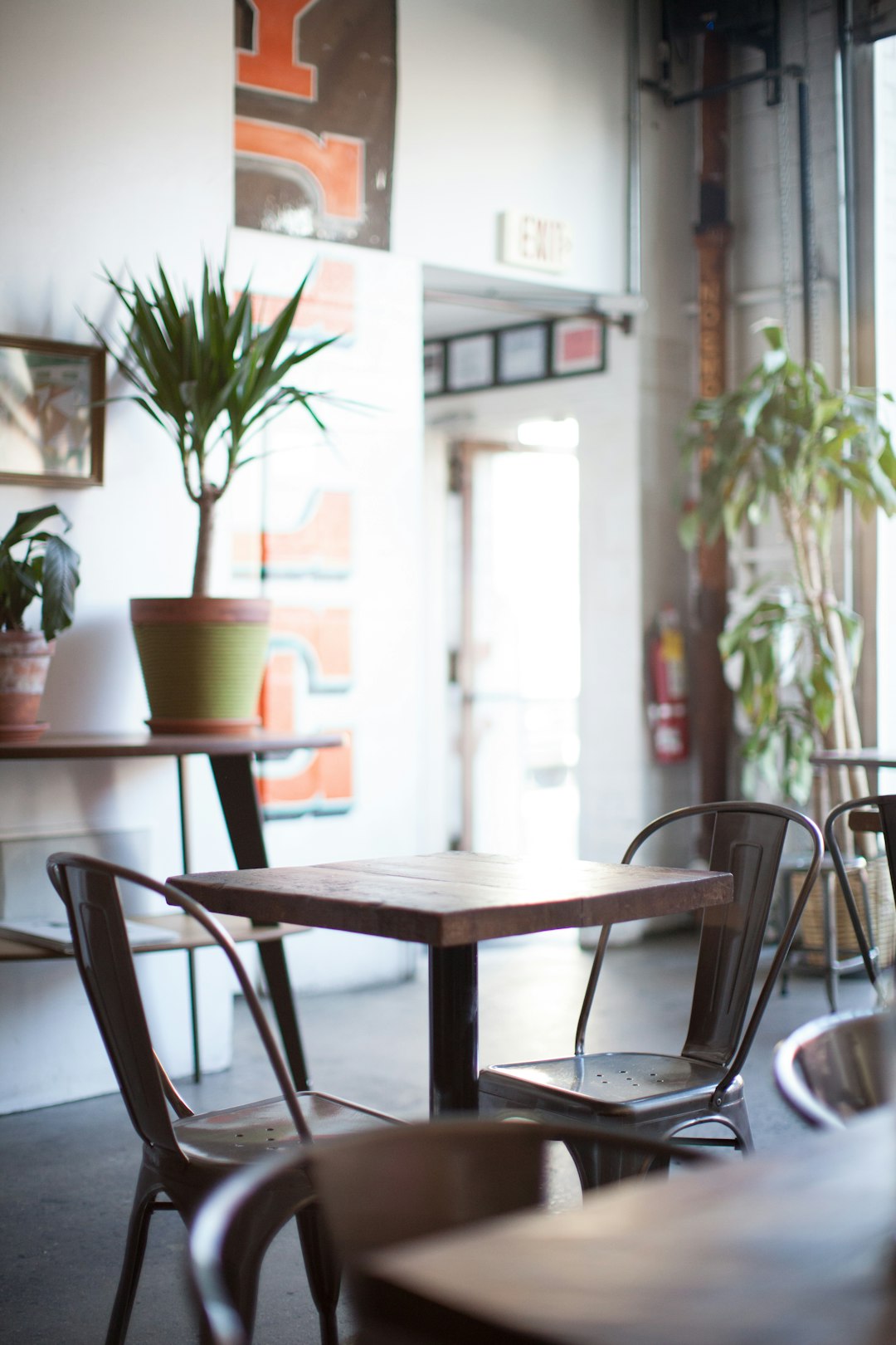 green potted plant on brown wooden table