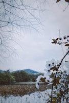 An artistic photograph capturing nature's beauty.