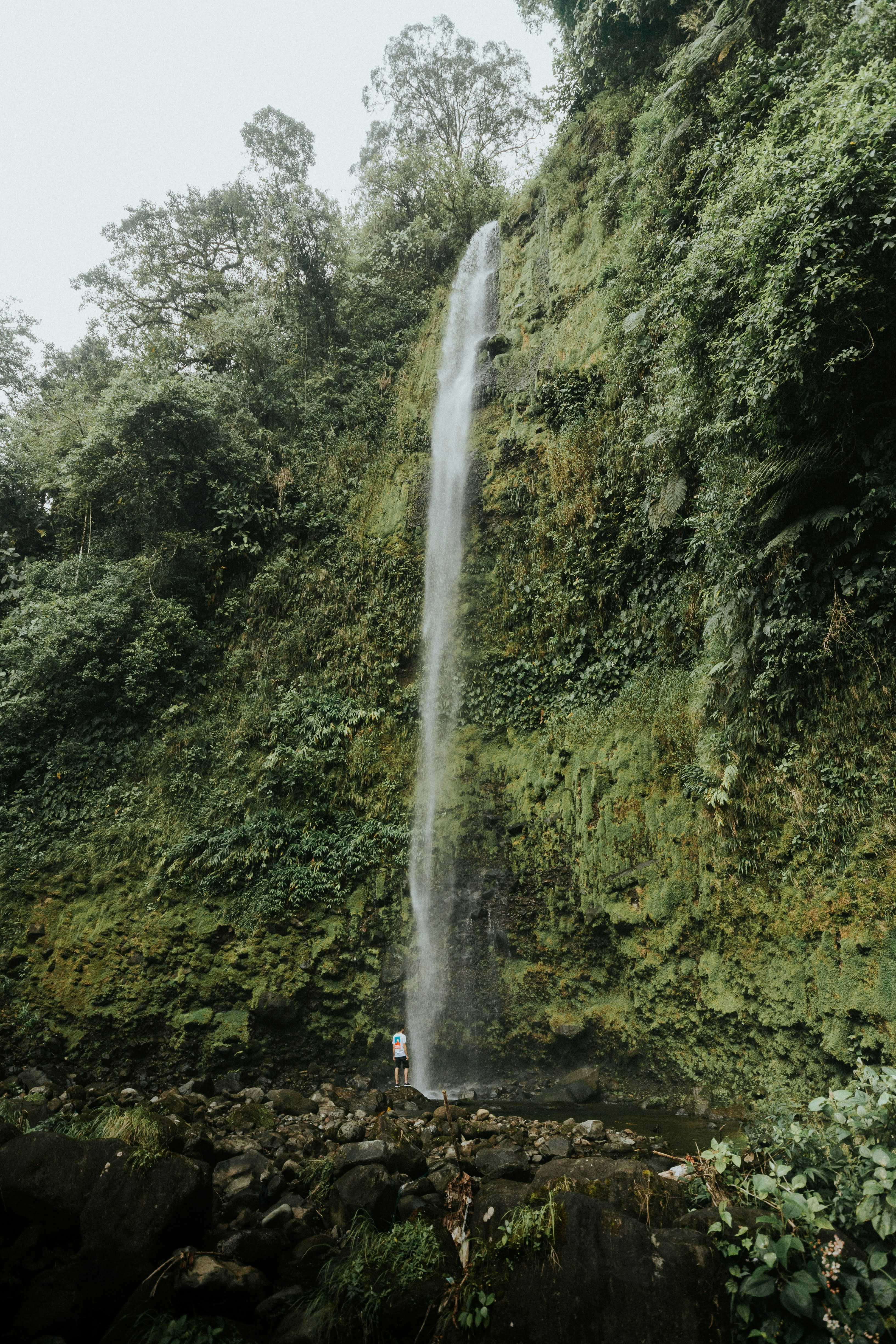 Wasserfälle inmitten grüner Bäume