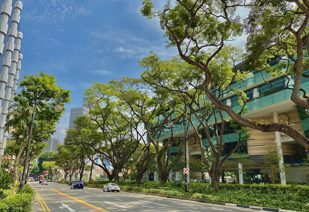 green trees near white building during daytime