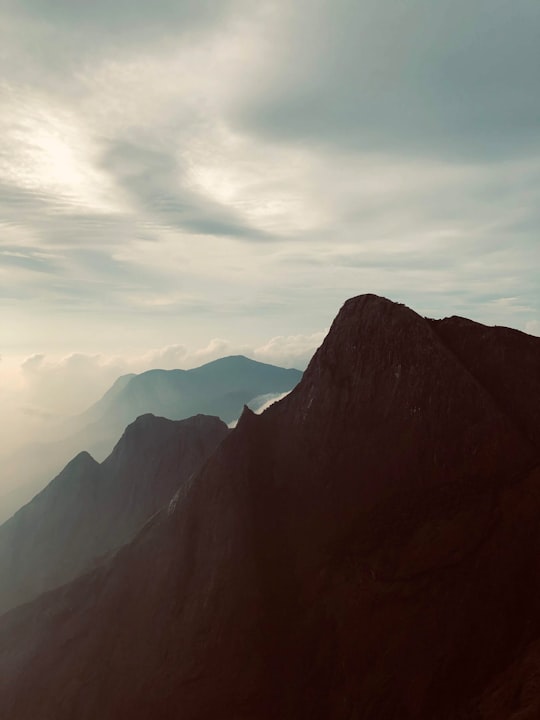 brown and black mountains under white clouds during daytime in Munnar India