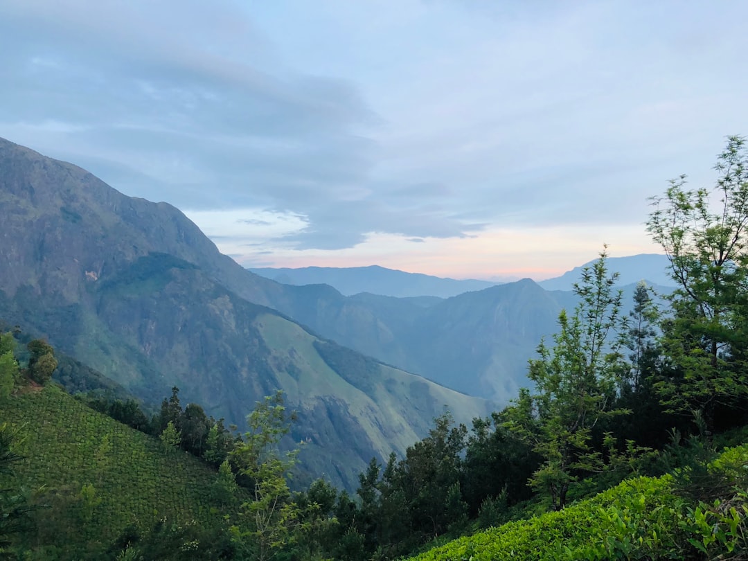 travelers stories about Hill station in Munnar, India