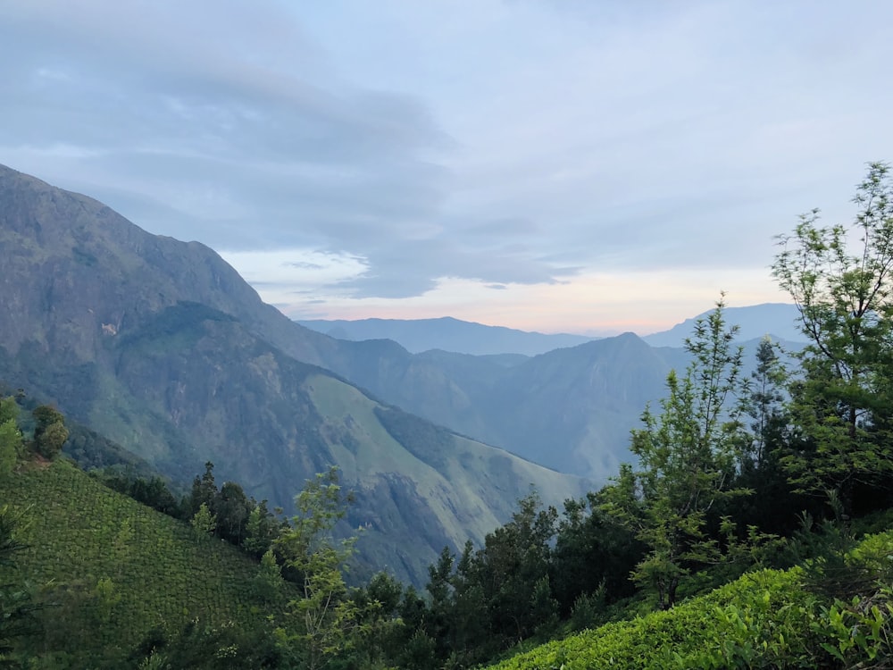 green trees on mountain under white clouds during daytime