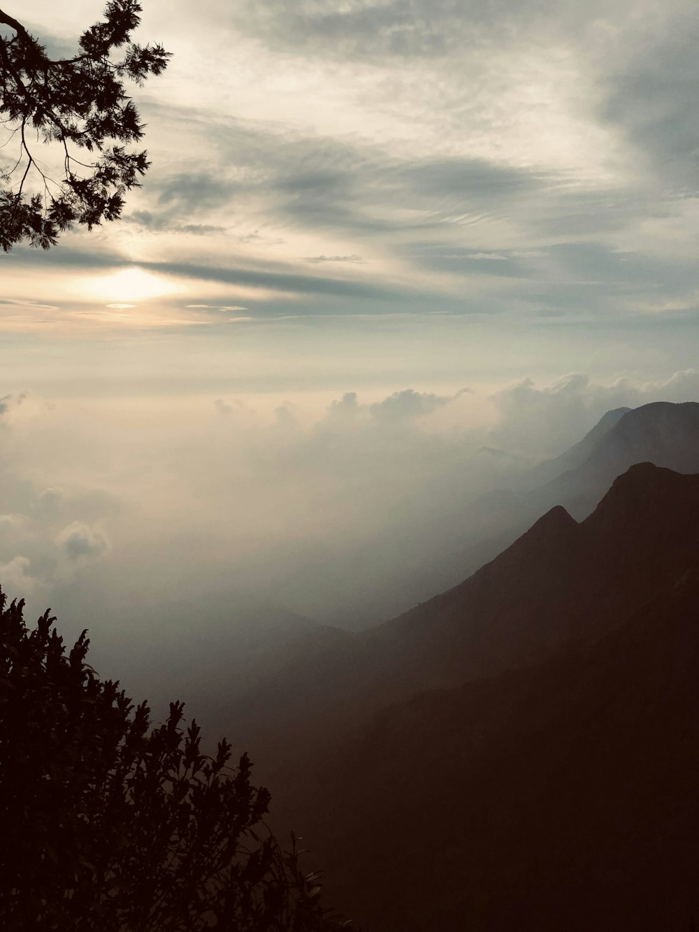 silhouette of trees on mountain during daytime