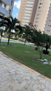 Tall residential buildings with balconies are surrounded by a neatly maintained garden. Palm trees and shrubs add greenery to the scene, and a tiled walkway runs along the grass.