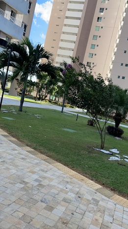 Tall residential buildings with balconies are surrounded by a neatly maintained garden. Palm trees and shrubs add greenery to the scene, and a tiled walkway runs along the grass.