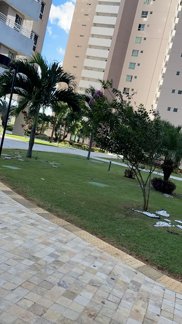 Tall residential buildings with balconies are surrounded by a neatly maintained garden. Palm trees and shrubs add greenery to the scene, and a tiled walkway runs along the grass.
