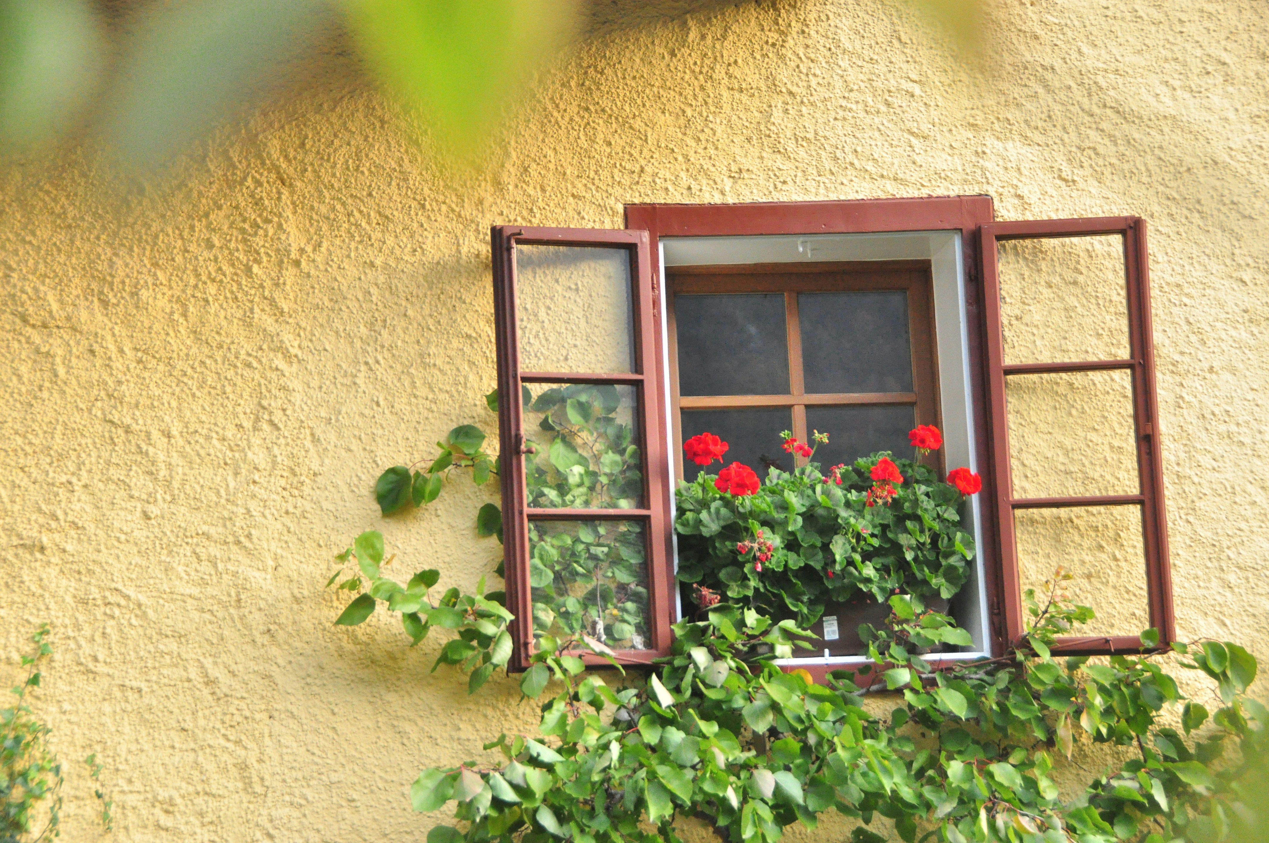 Photo by idonothingbutlove