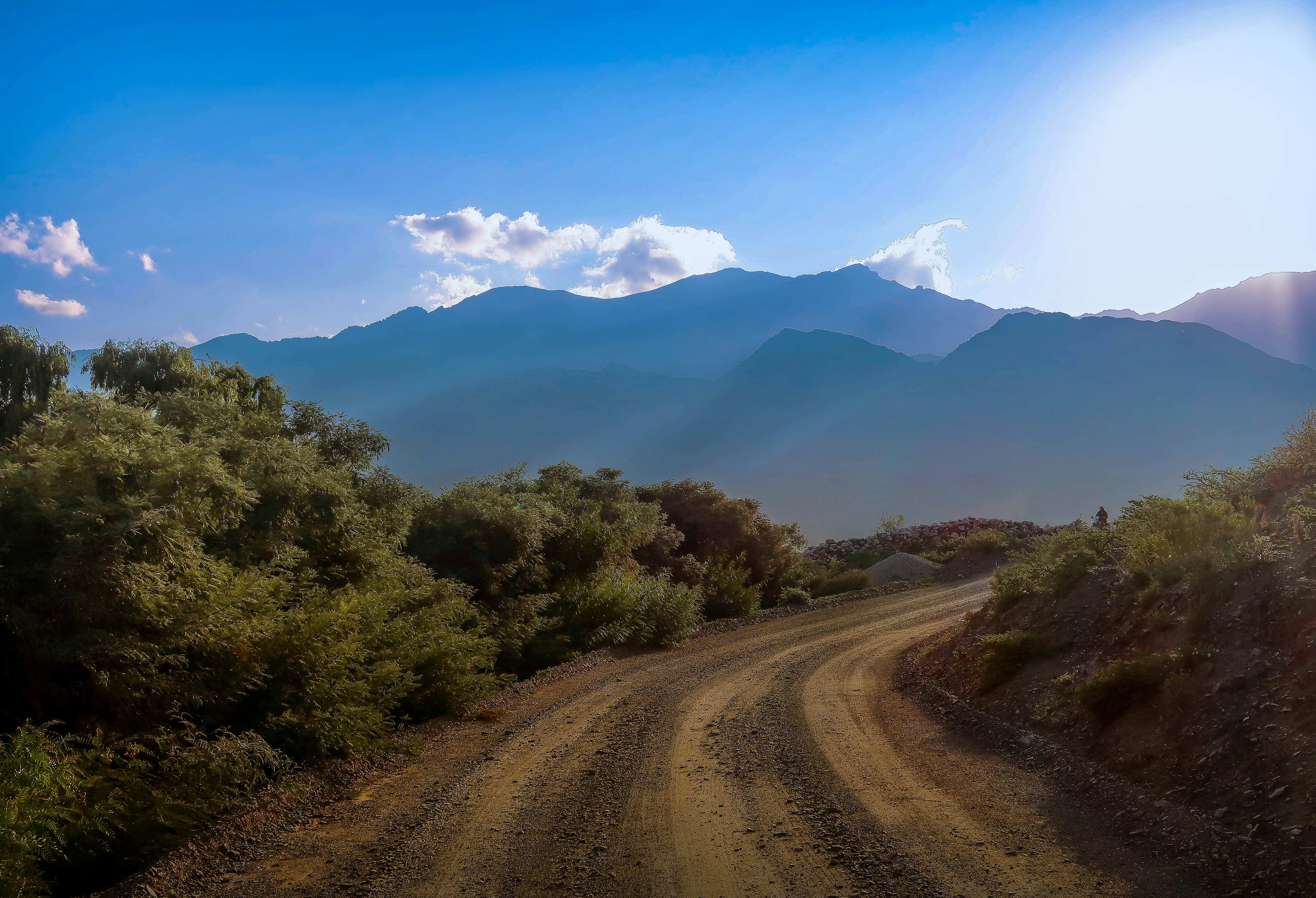 green trees and brown dirt road during daytime dirt road teams background
