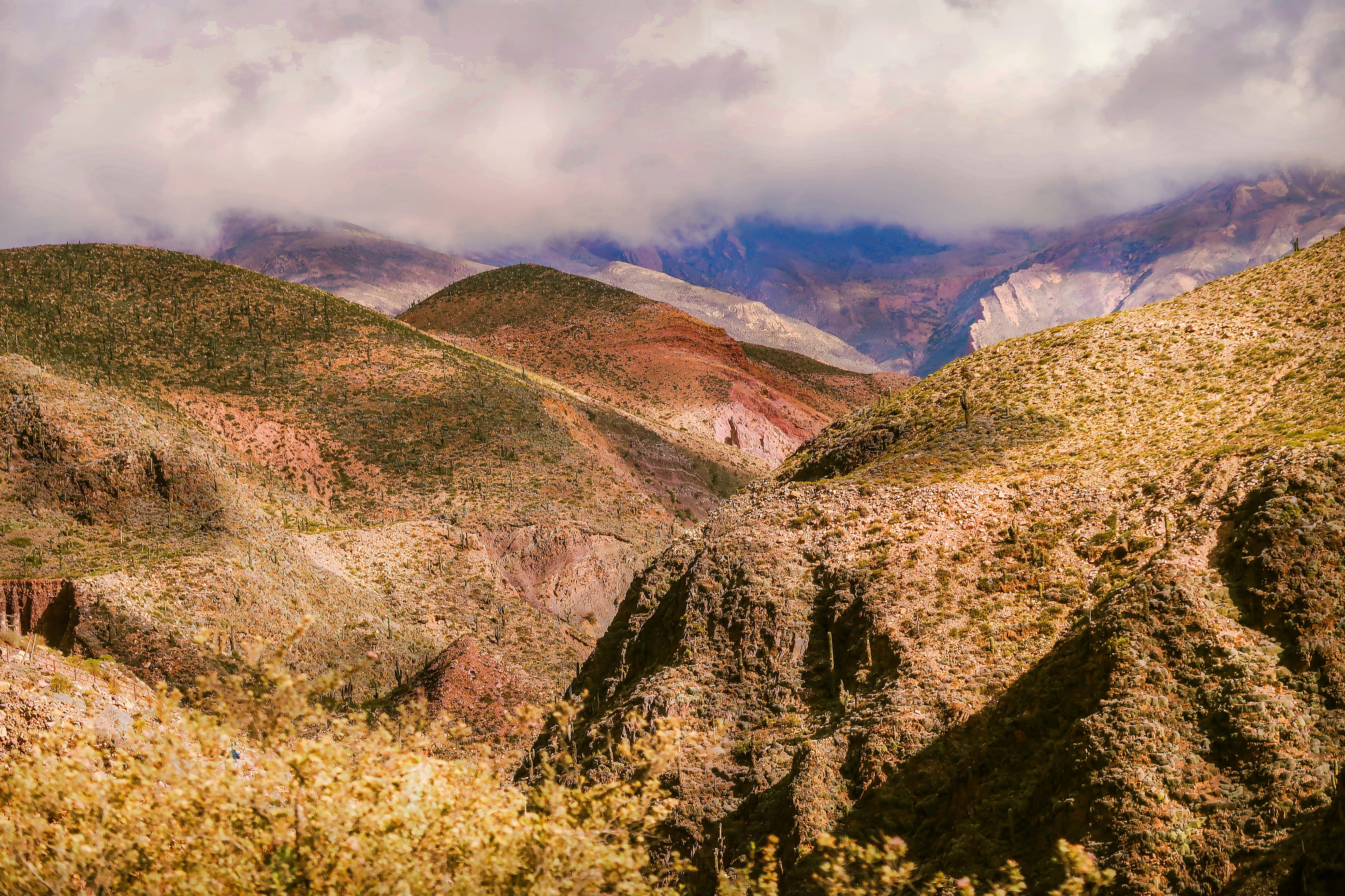 Photo by argentinanatural