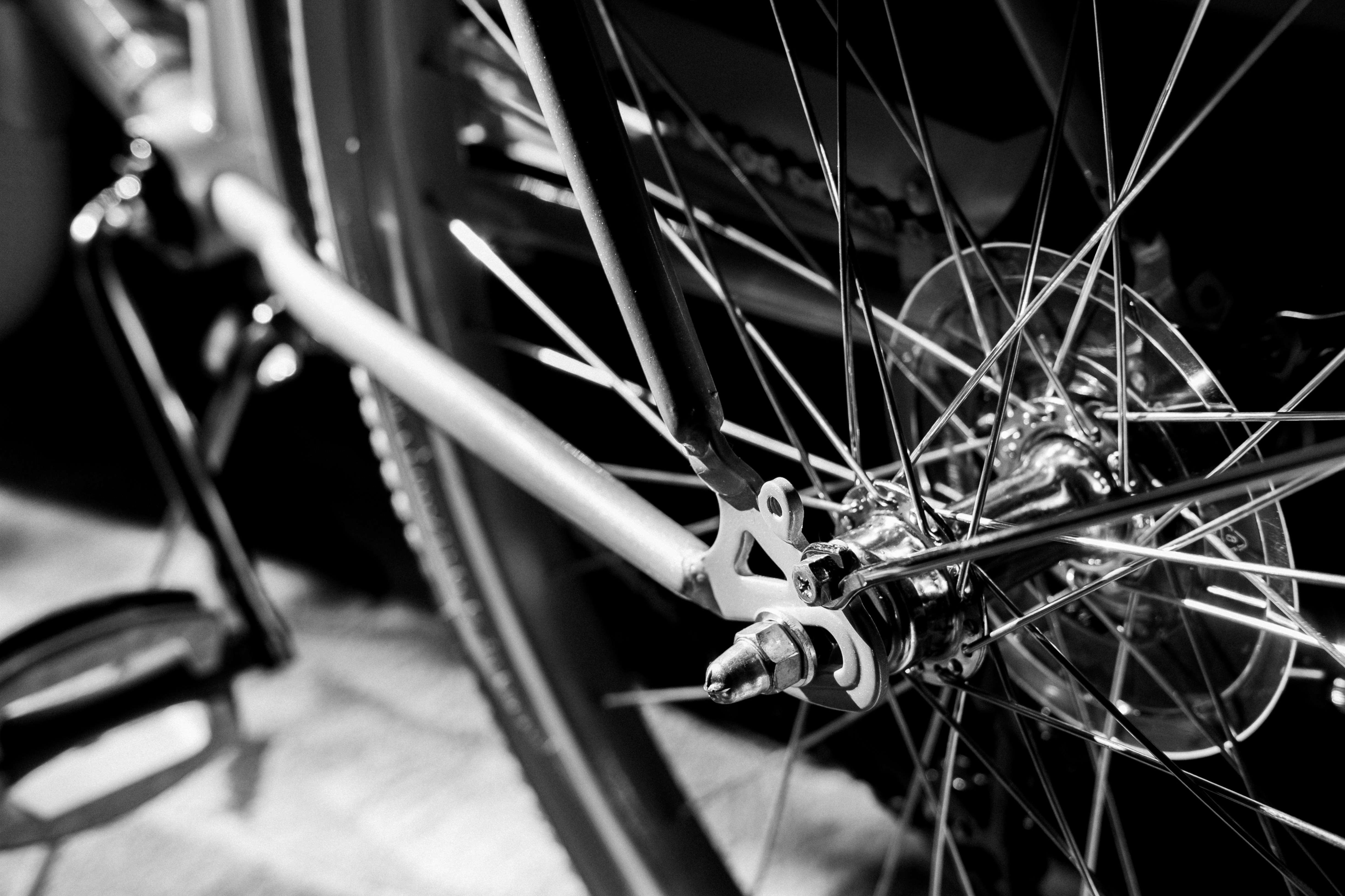 Photo by skylargereld