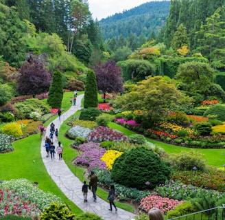 people walking on pathway surrounded by green trees during daytime