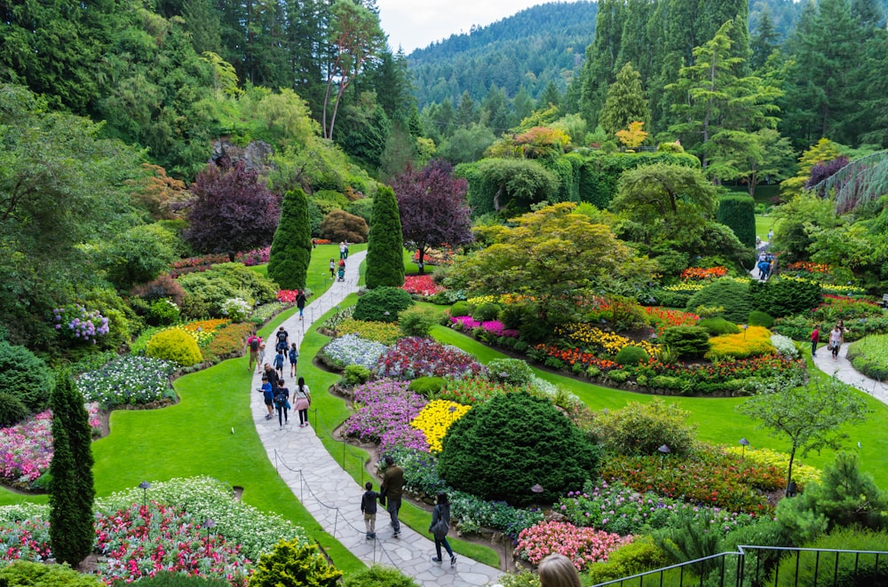 people walking on pathway surrounded by green trees during daytime
