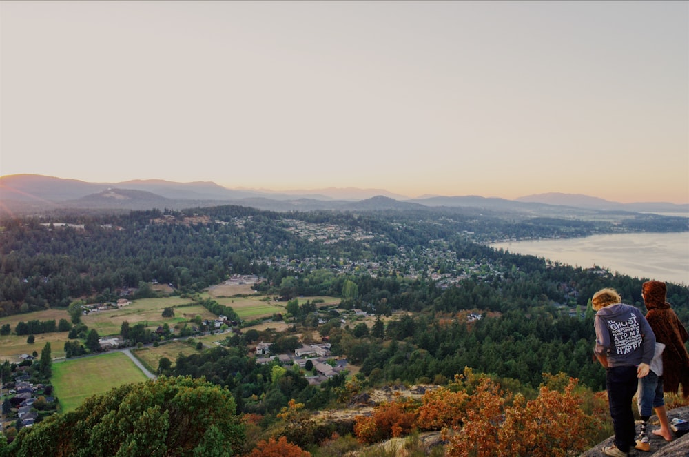 aerial view of green trees and mountains during daytime