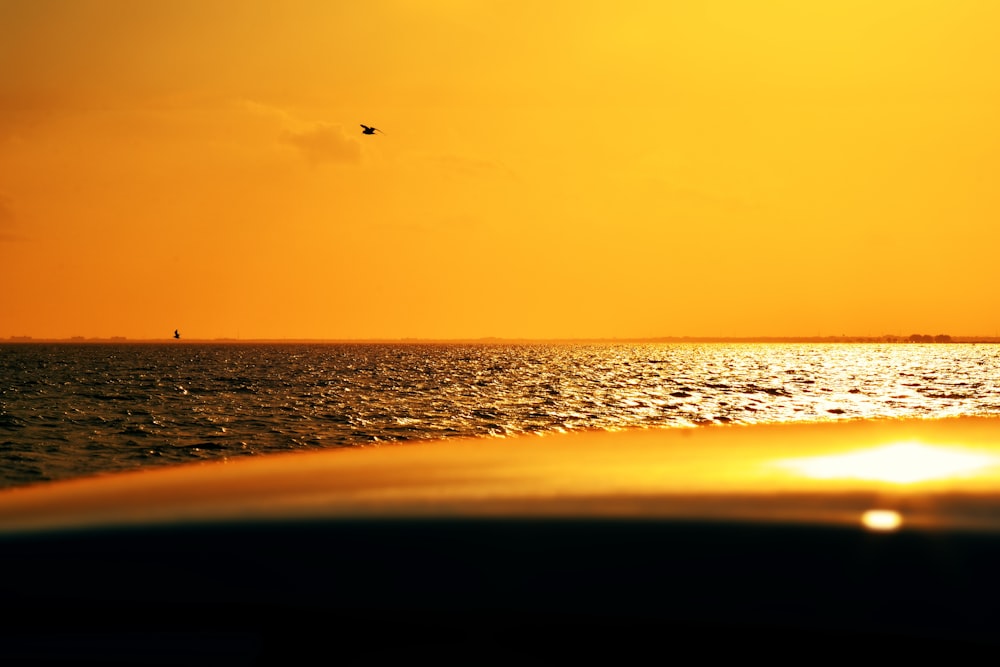 oiseaux volant au-dessus de la mer au coucher du soleil