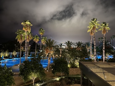An artistic image showcasing a purple-toned backdrop, a distant palm tree, and a pool reflecting the moody light.