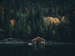 brown wooden house on lake near green trees during daytime