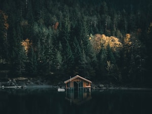 brown wooden house on lake near green trees during daytime
