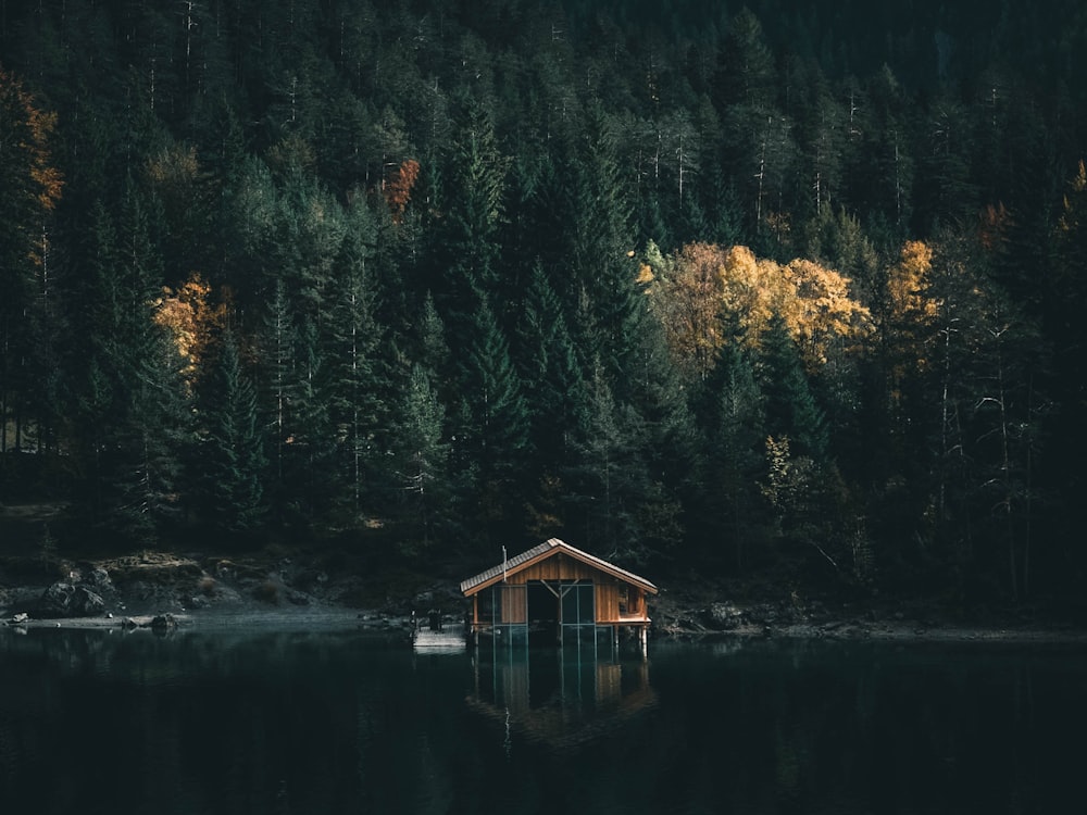 brown wooden house on lake near green trees during daytime