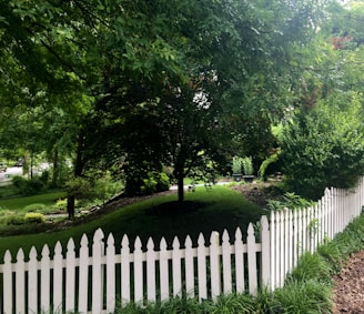 A lush, green garden with various trees and shrubs surrounded by a white picket fence. The grass is well-maintained and there are hints of sunlight filtering through the leaves, creating a calm and peaceful ambiance.