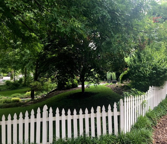 A lush, green garden with various trees and shrubs surrounded by a white picket fence. The grass is well-maintained and there are hints of sunlight filtering through the leaves, creating a calm and peaceful ambiance.