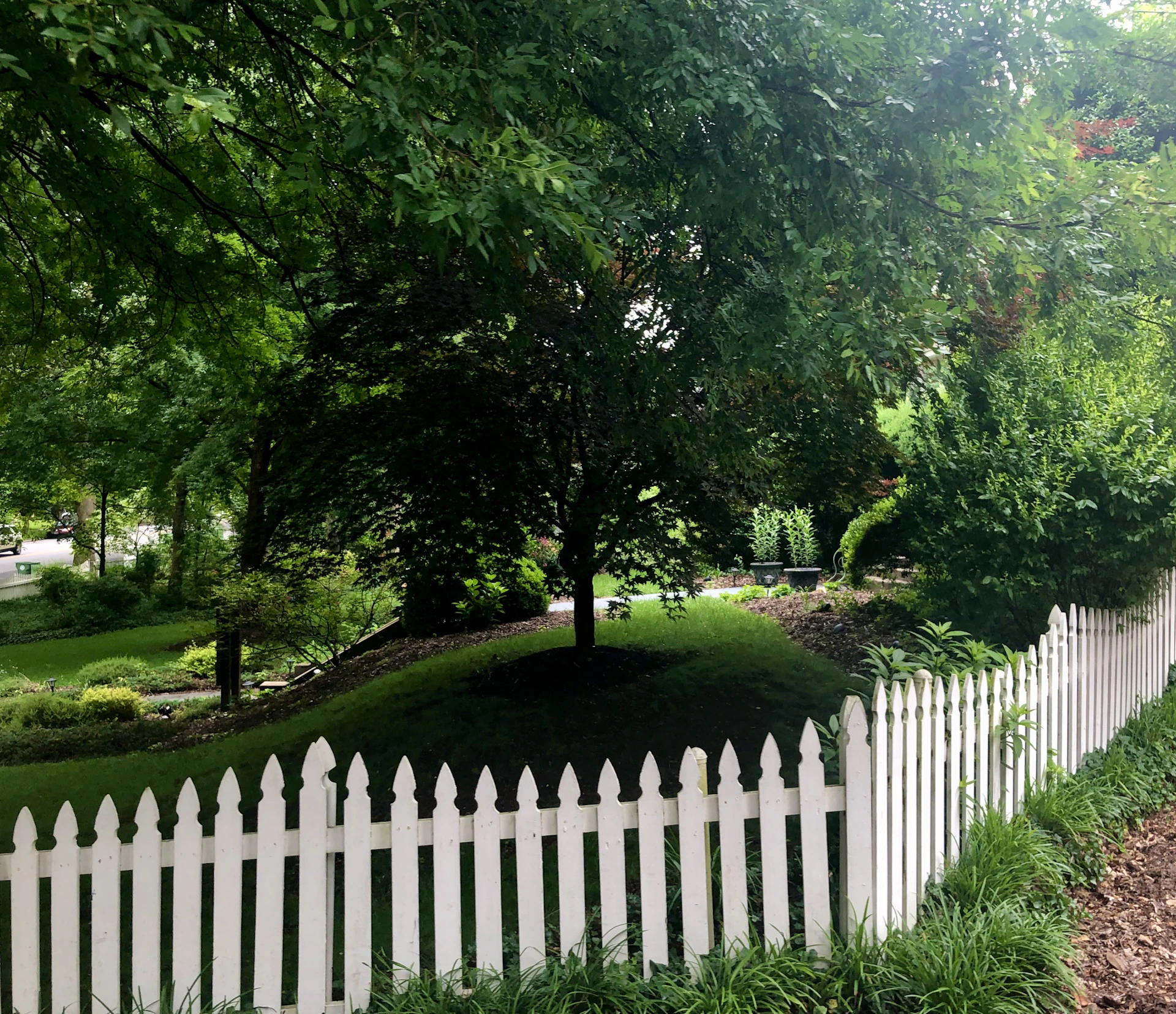 An inviting outdoor space with expertly landscaped greenery and a clean, modern fence line highlighting the property's charm.