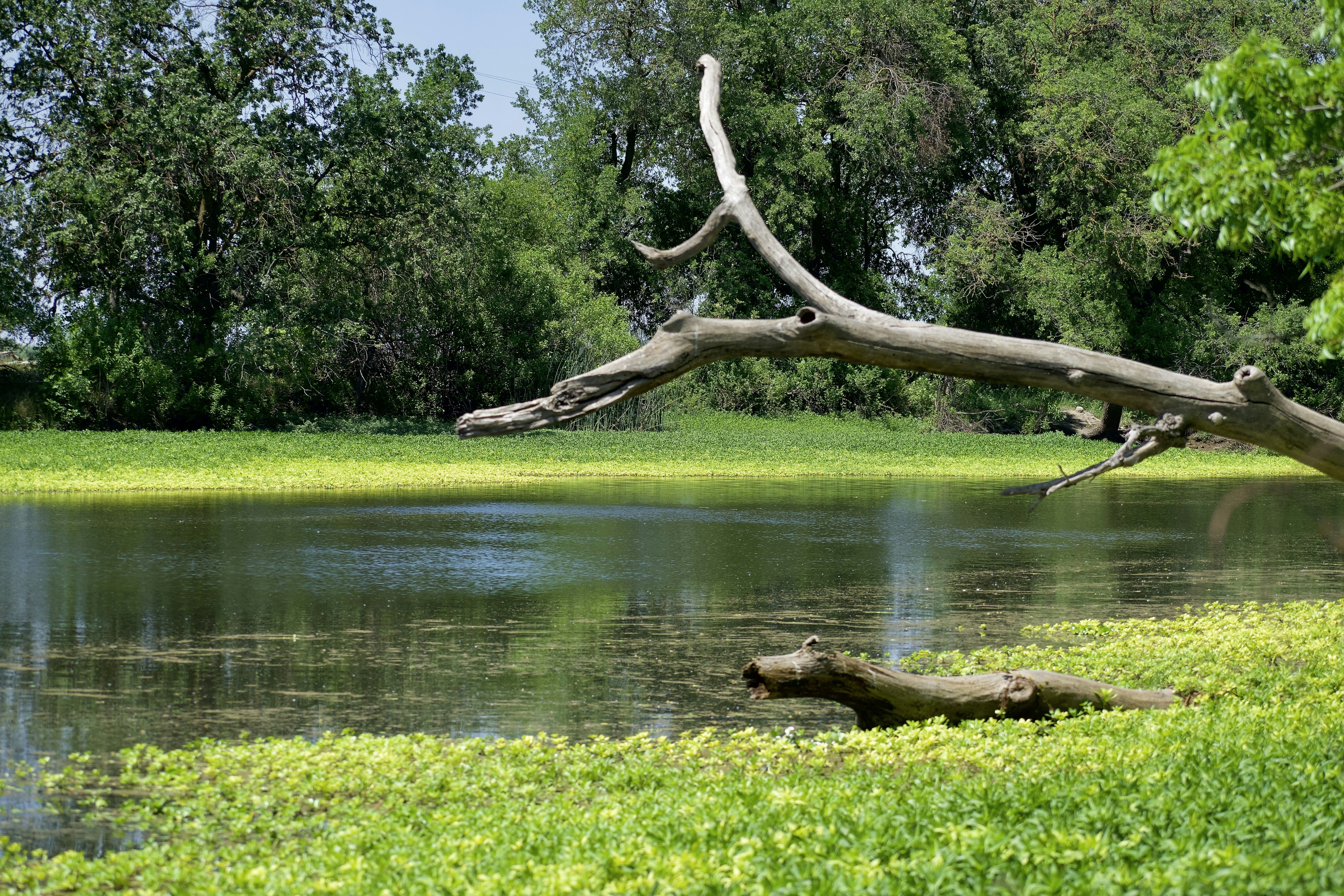 Photo by elisastonephotography