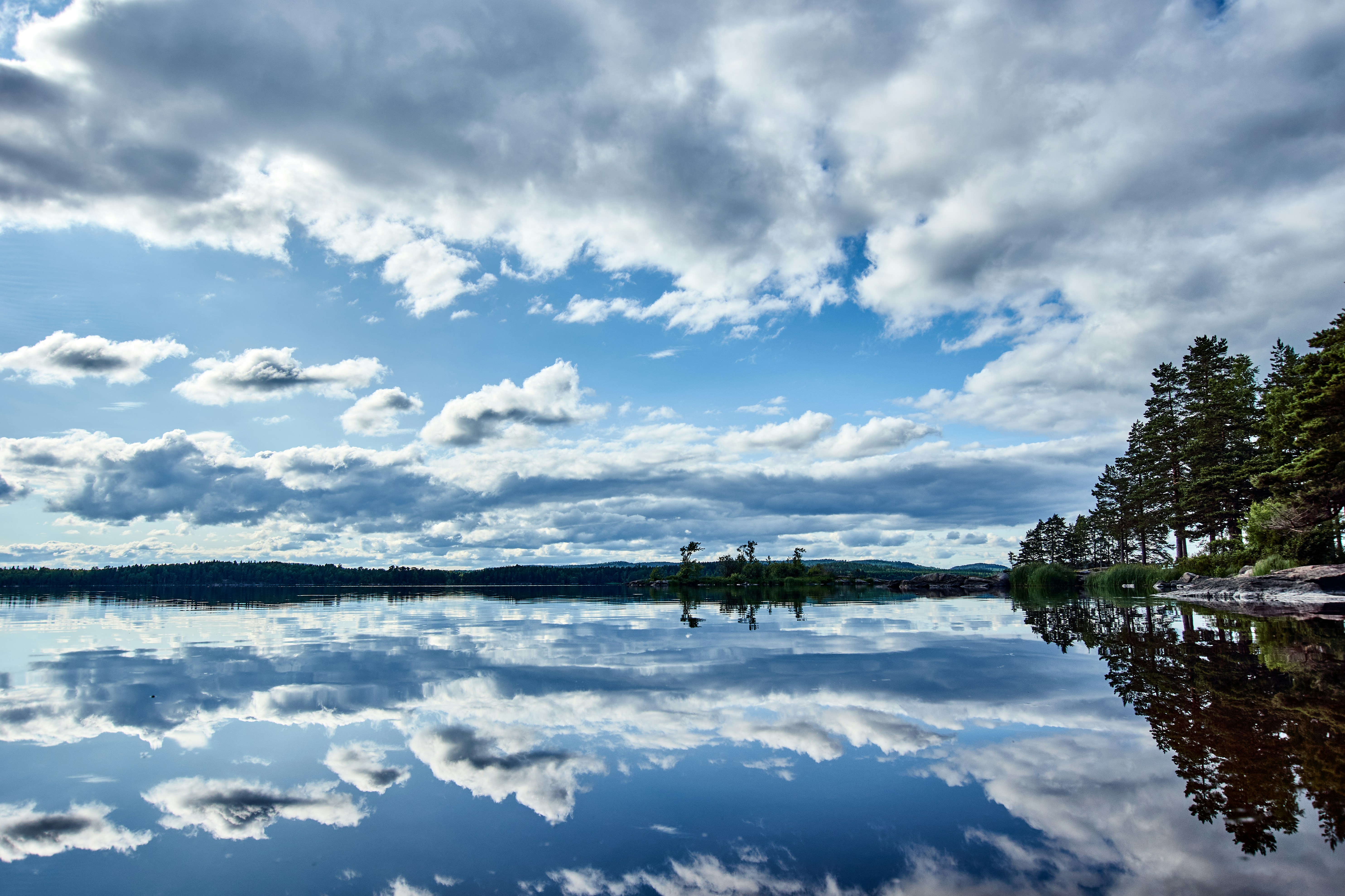 Photo by wolfgang_hasselmann