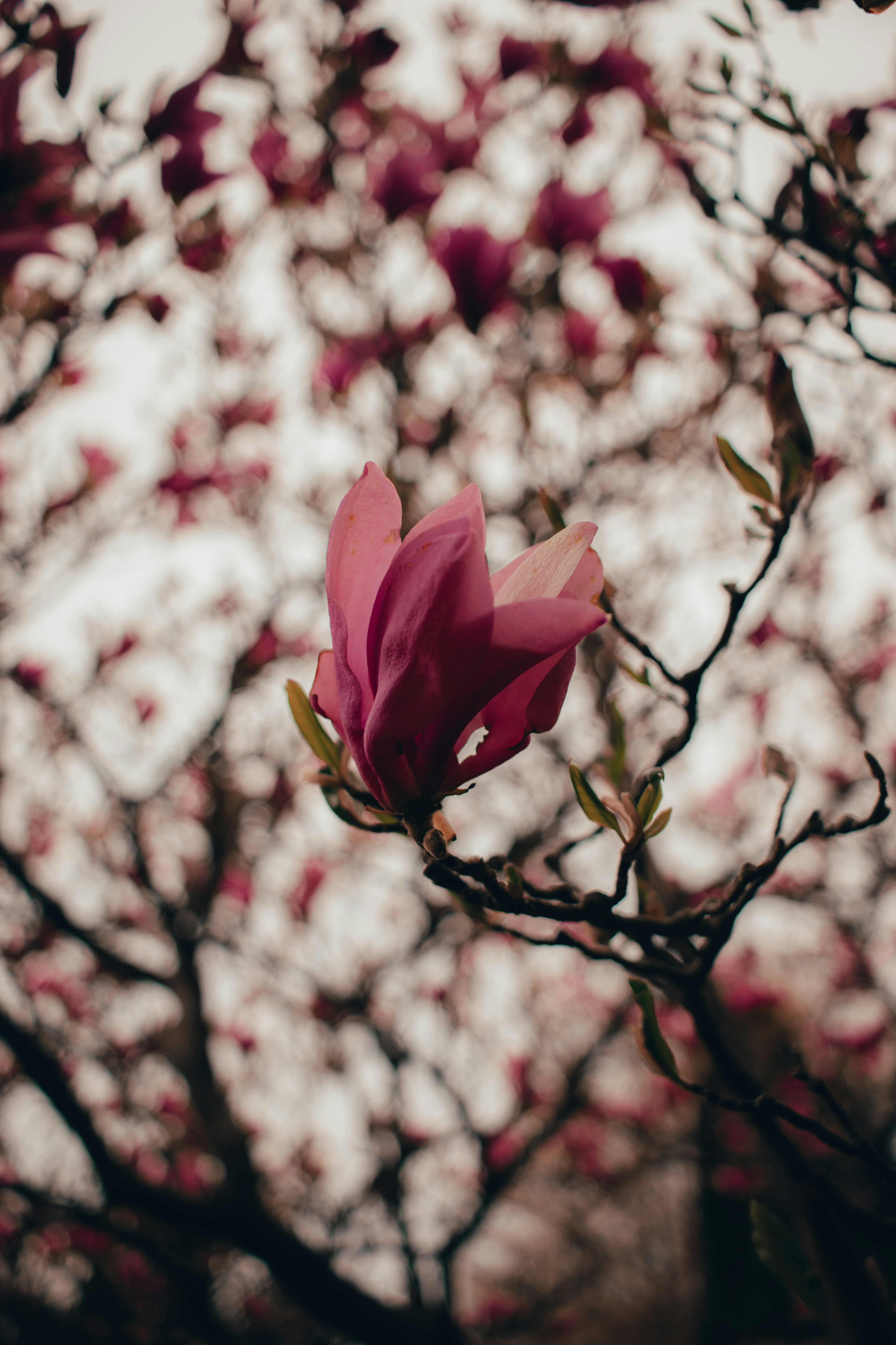 Photo by itsjustben