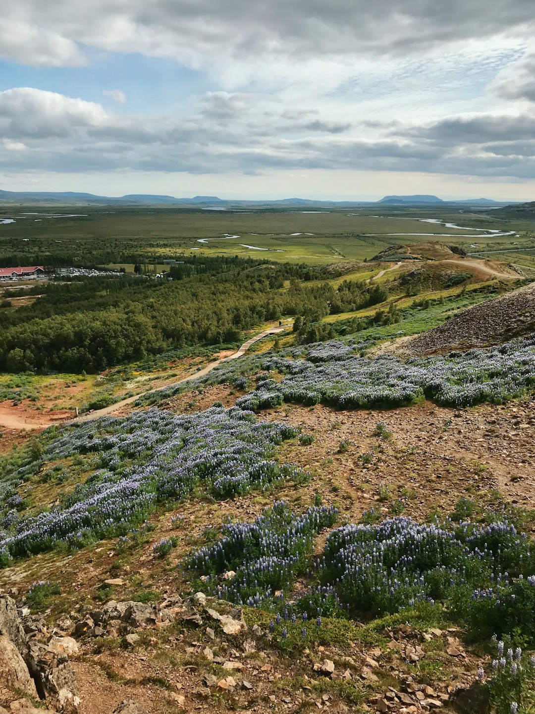 Tundra photo spot Iceland Southern Region