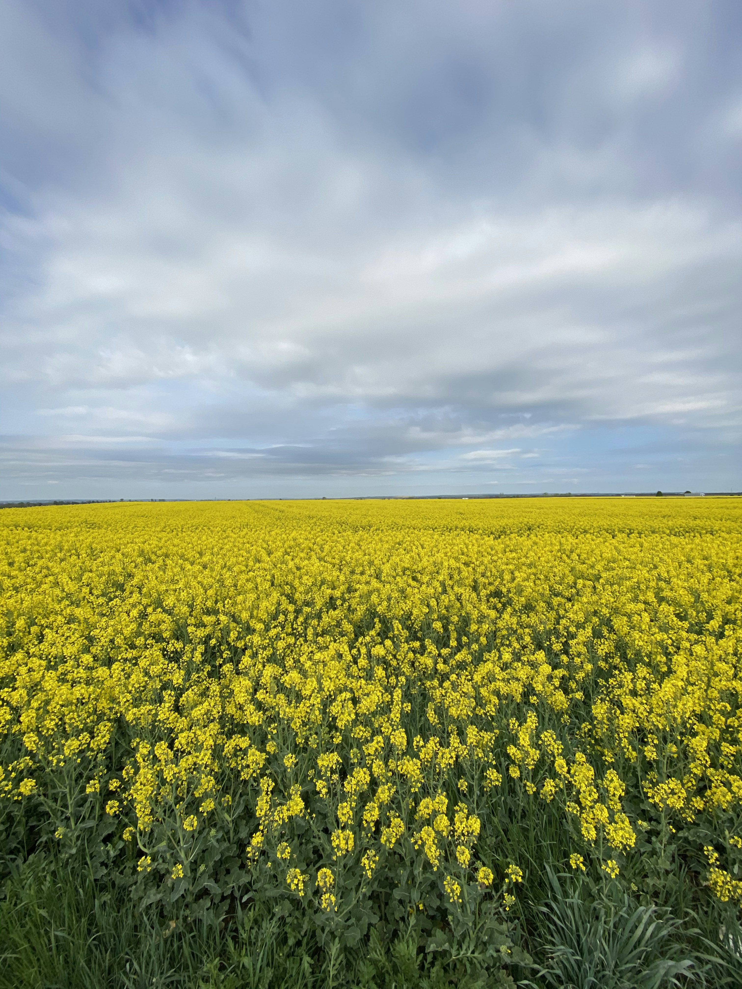 Photo by hartaiklaudia