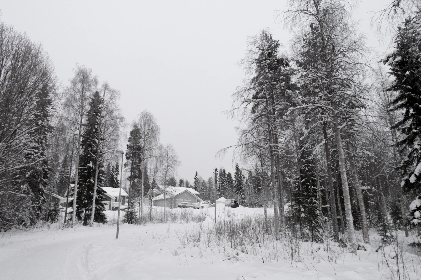 Snow-covered trees and cottages in Rovaniemi, Finland