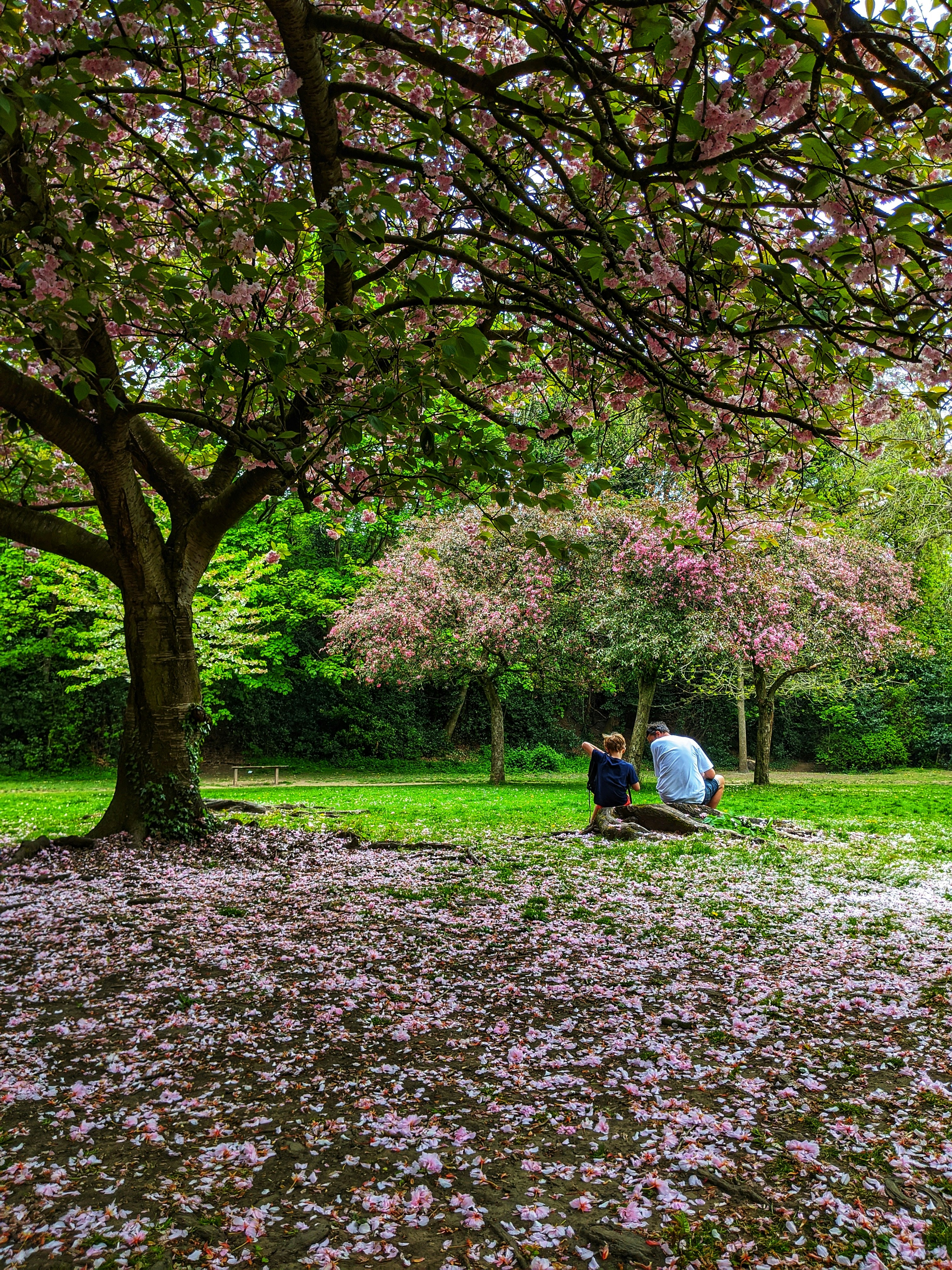 Photo by antonvelchev